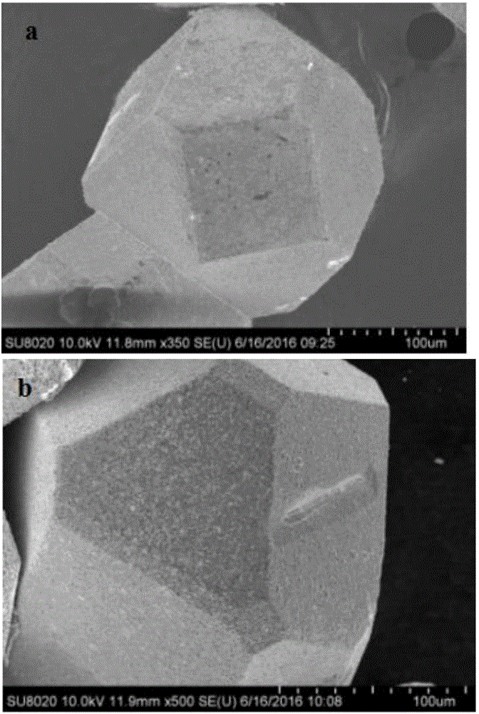 Method for plating tungsten on diamond powder surface