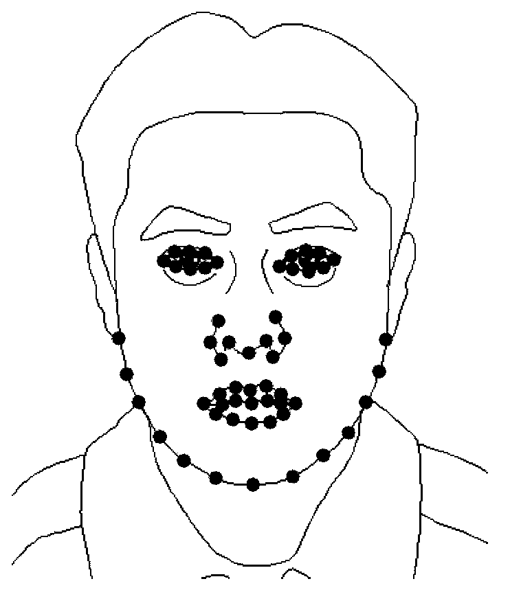 High-resolution three-dimensional face scanning method for camera phone