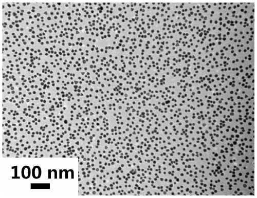 Preparation method and application of gold nanoparticle based nano-enzyme