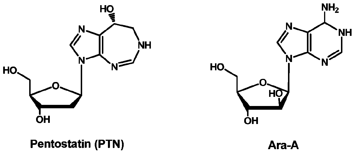 Biosynthetic gene clusters of pentostatin and vidarabine and their applications