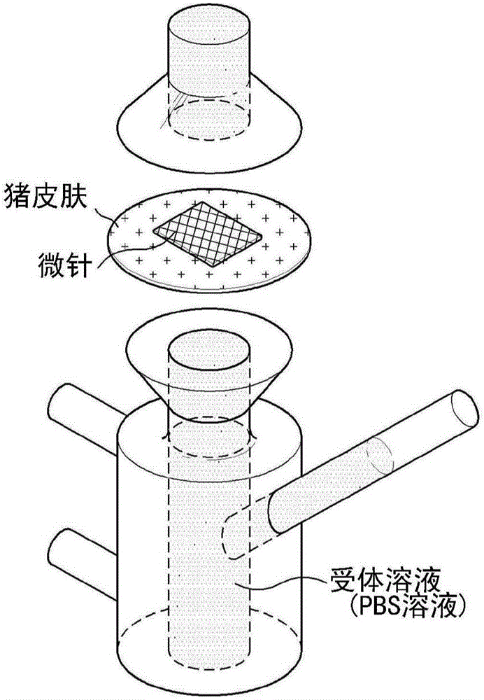 Soluble microneedle for delivering proteins or peptides