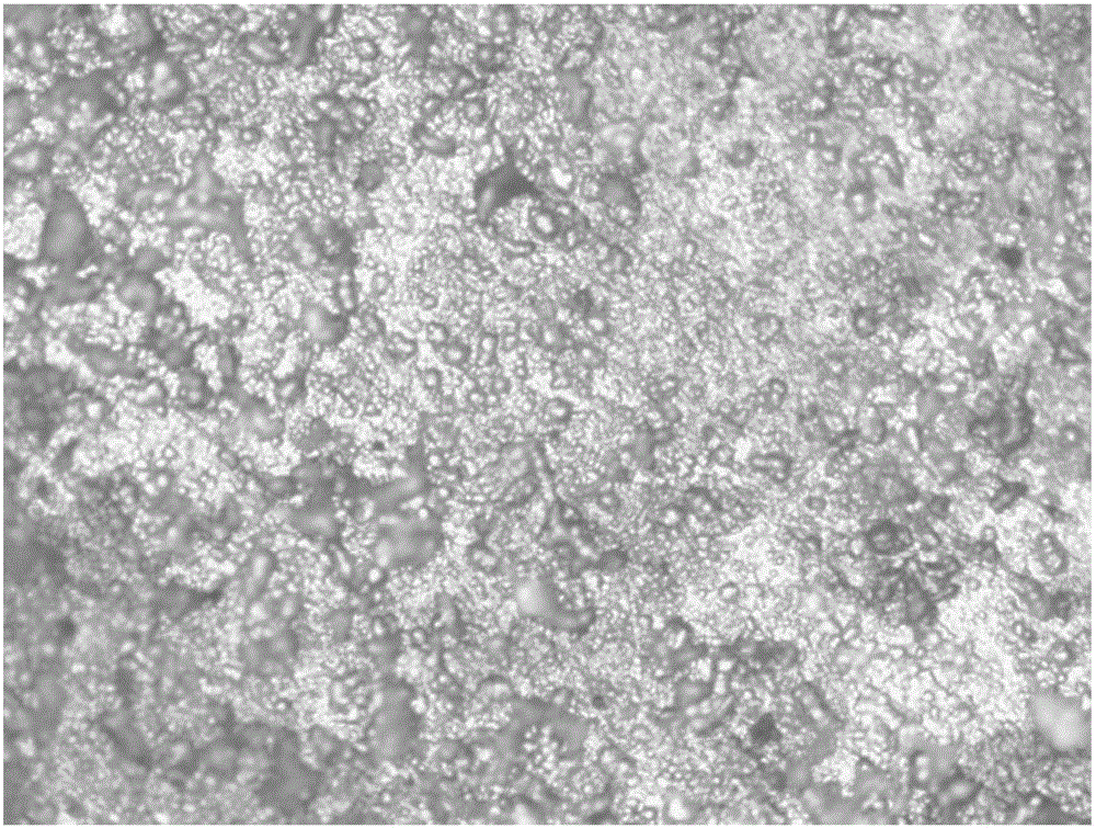 Sealing treatment method for aluminium alloy surface treatment