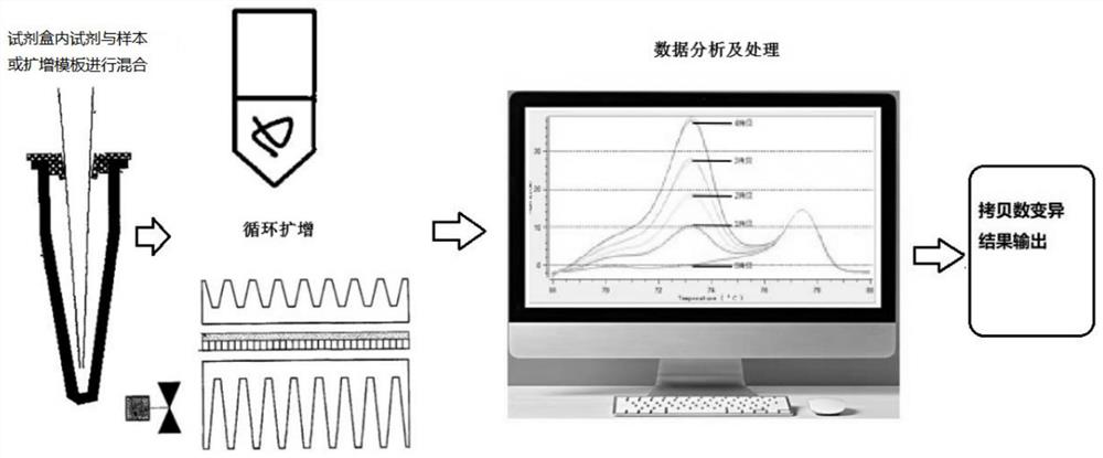 Kit for detecting copy number of human motor neuron survival gene SMN1 and analysis method