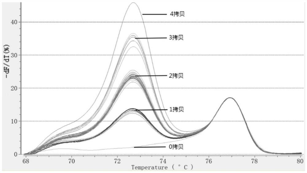 Kit for detecting copy number of human motor neuron survival gene SMN1 and analysis method