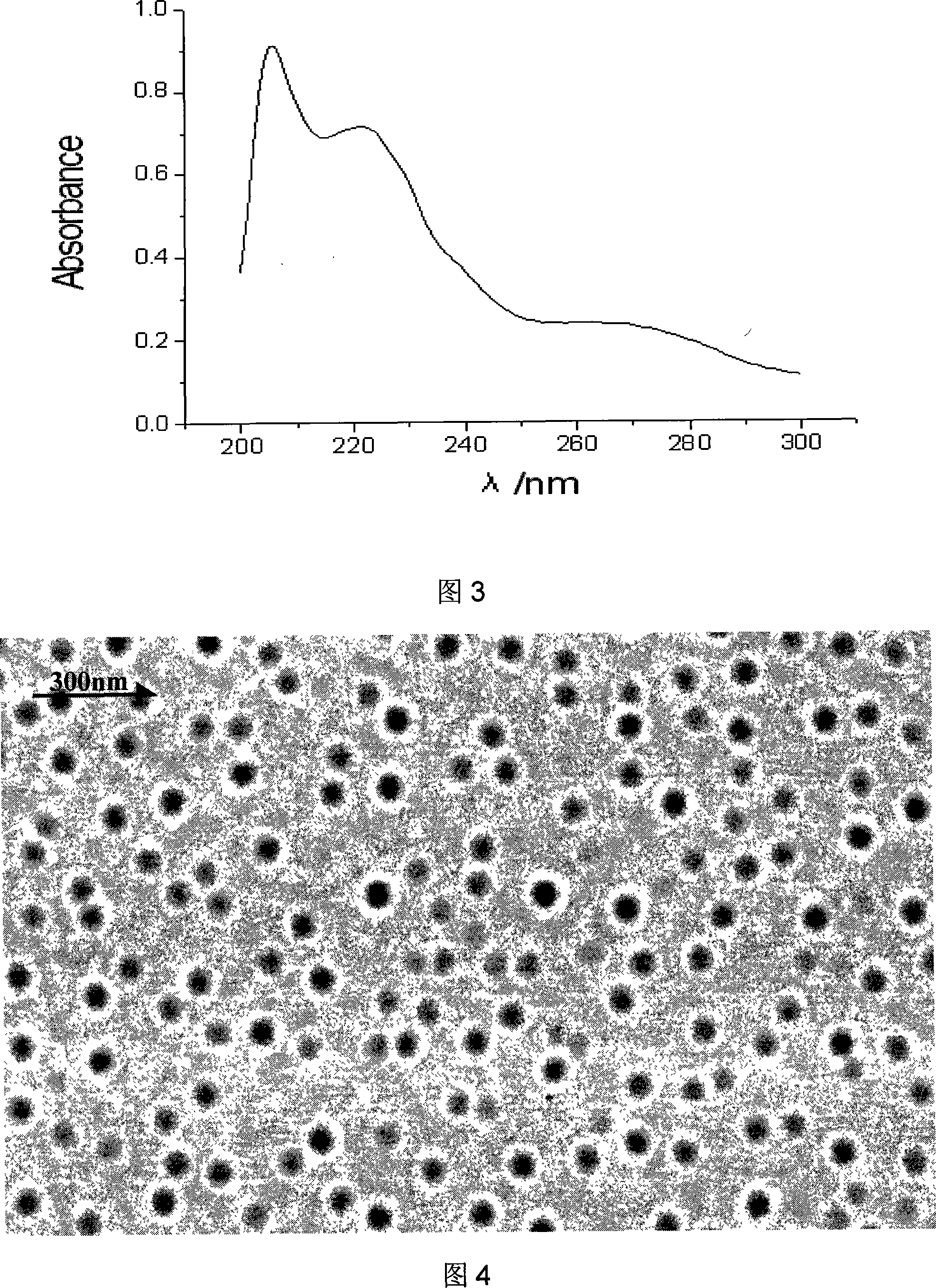 Taxol nanometer particle and preparation method and application thereof
