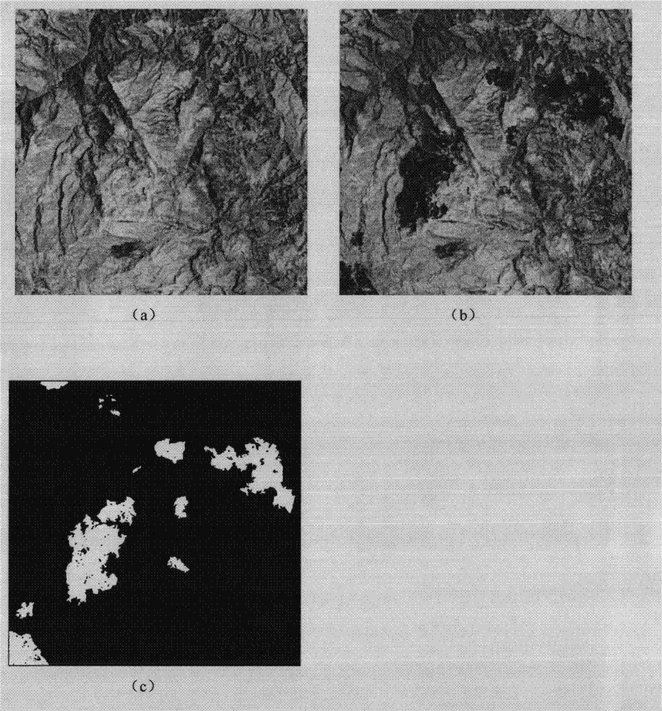 Remote sensing image change detecting method with combination of multi-resolution NMF (non-negative matrix factorization) and Treelet