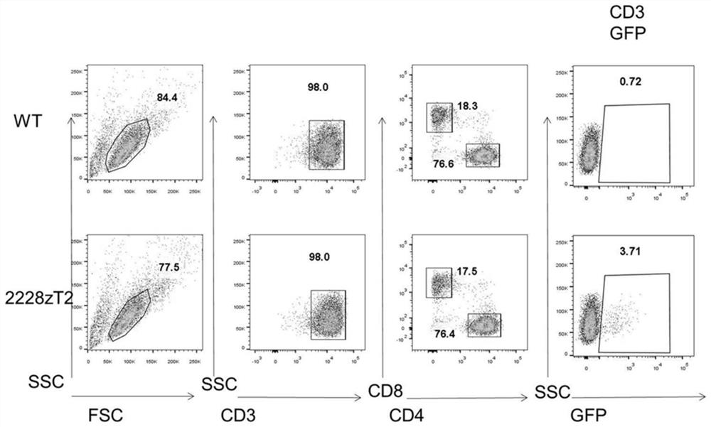 CD19 and CD22 double-target chimeric antigen receptor and application thereof