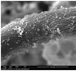 A kind of nano-micro ZnO/composite cellulose strip material and preparation method thereof