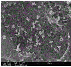 A kind of nano-micro ZnO/composite cellulose strip material and preparation method thereof