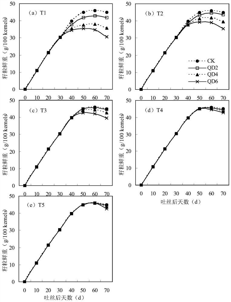 Canopy regulation and control method for improving mechanical kernel harvesting quality and kernel commodity quality of corns