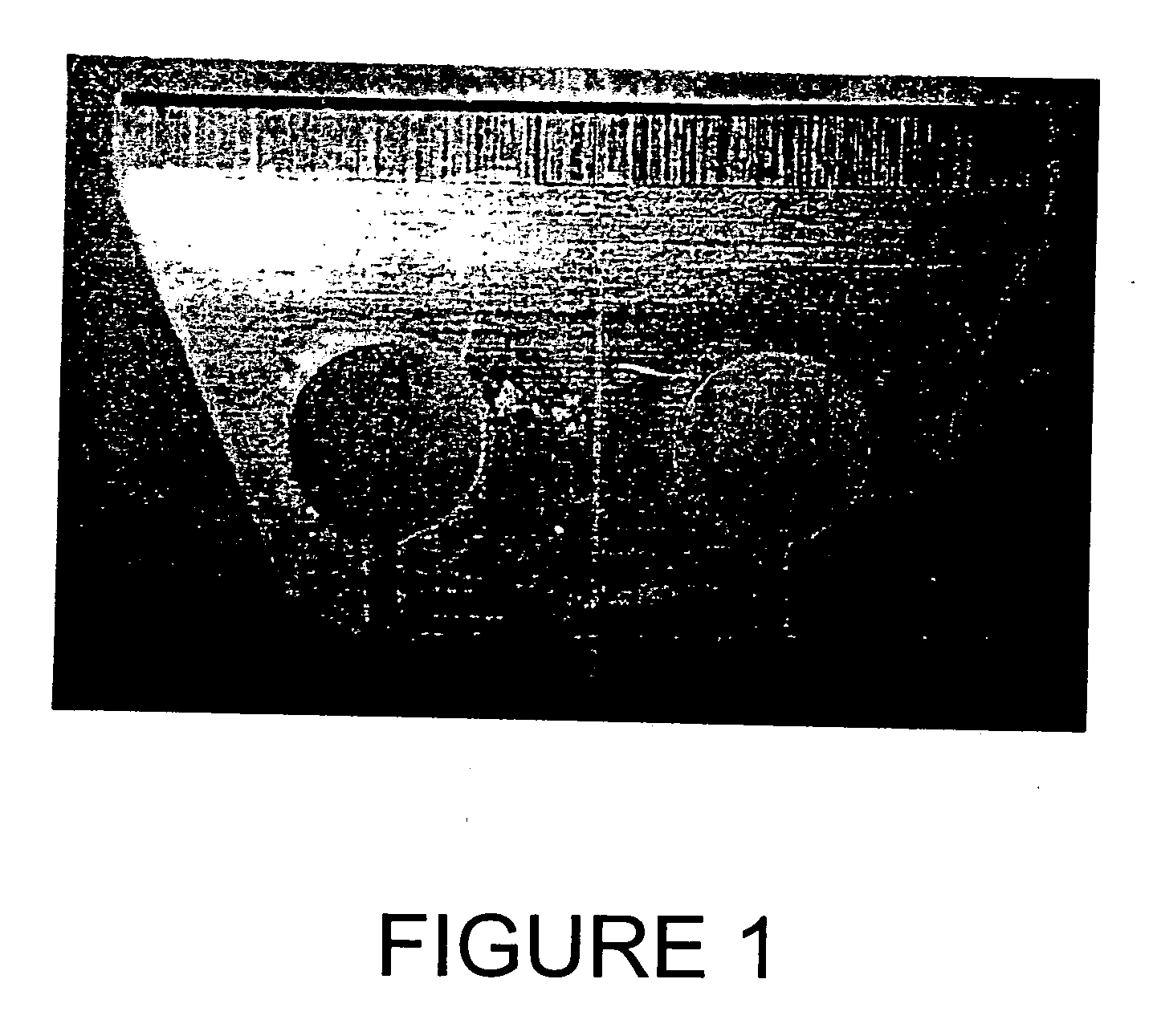 Compositions for cleaning and treating surgical devices