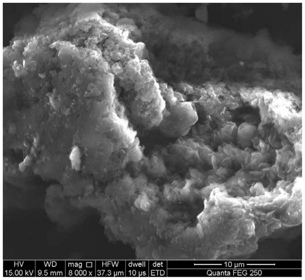 A method for photocatalytic degradation of antibiotics in water