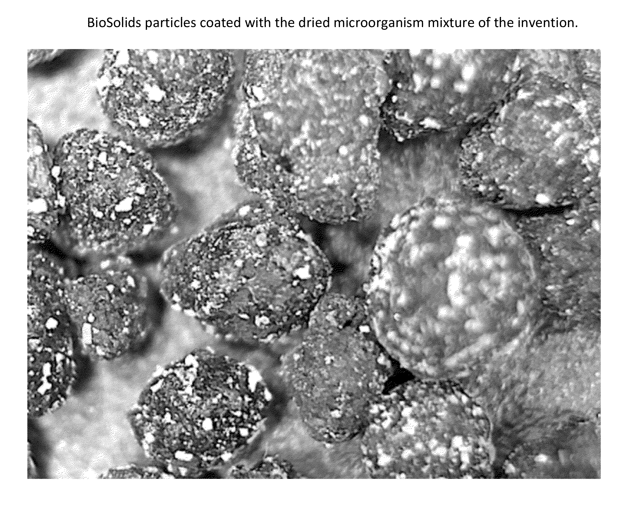 Fertilizer compositions methods of making and using same