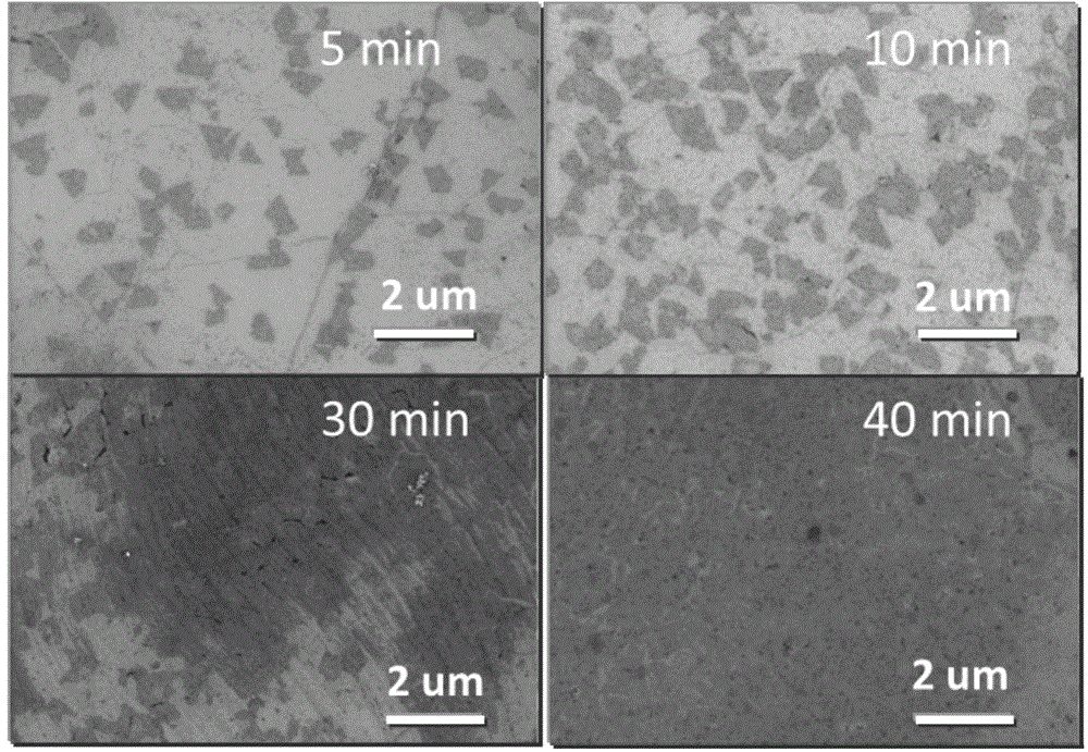 Method for preparing wafer-grade large-size hexagonal boron nitride on substrate