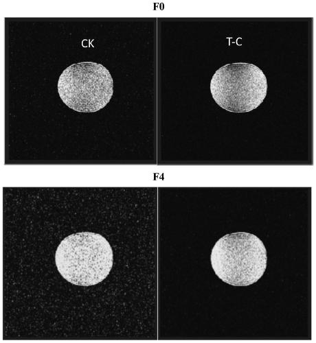 Low-sensitivity frozen dough and manufacture method thereof