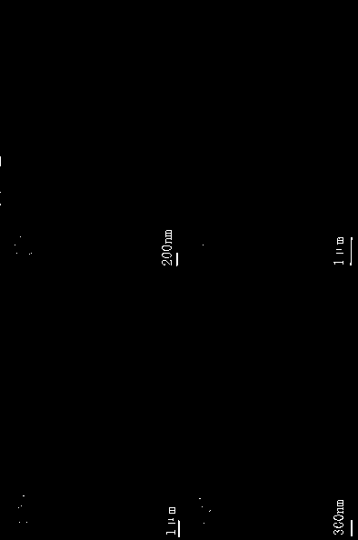 Preparation and application of ferrite magnet/bismuth vanadate composite material