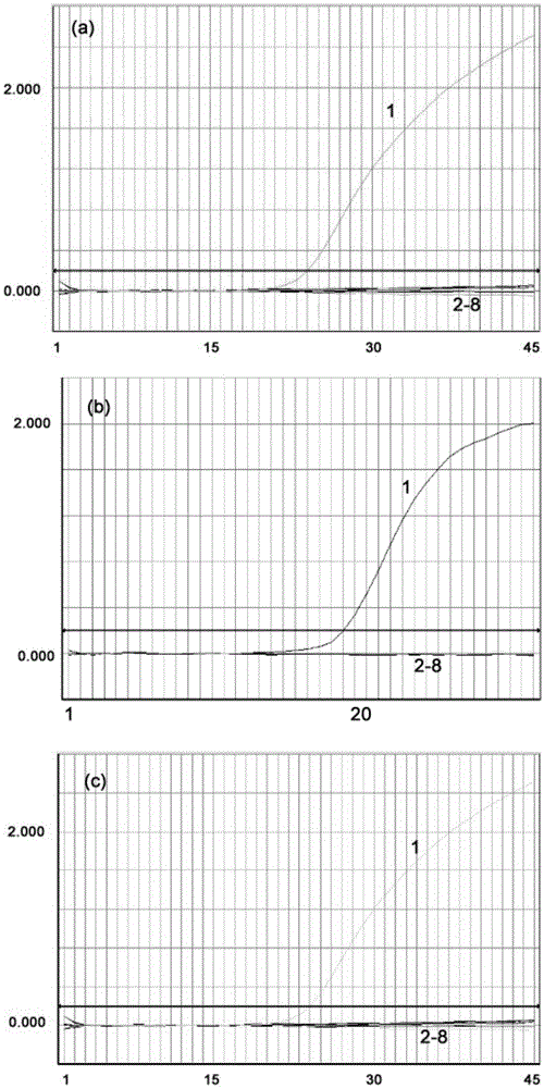 Compositions for the detection of drug resistance of staphylococcus aureus