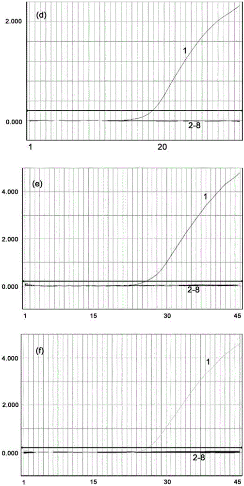 Compositions for the detection of drug resistance of staphylococcus aureus