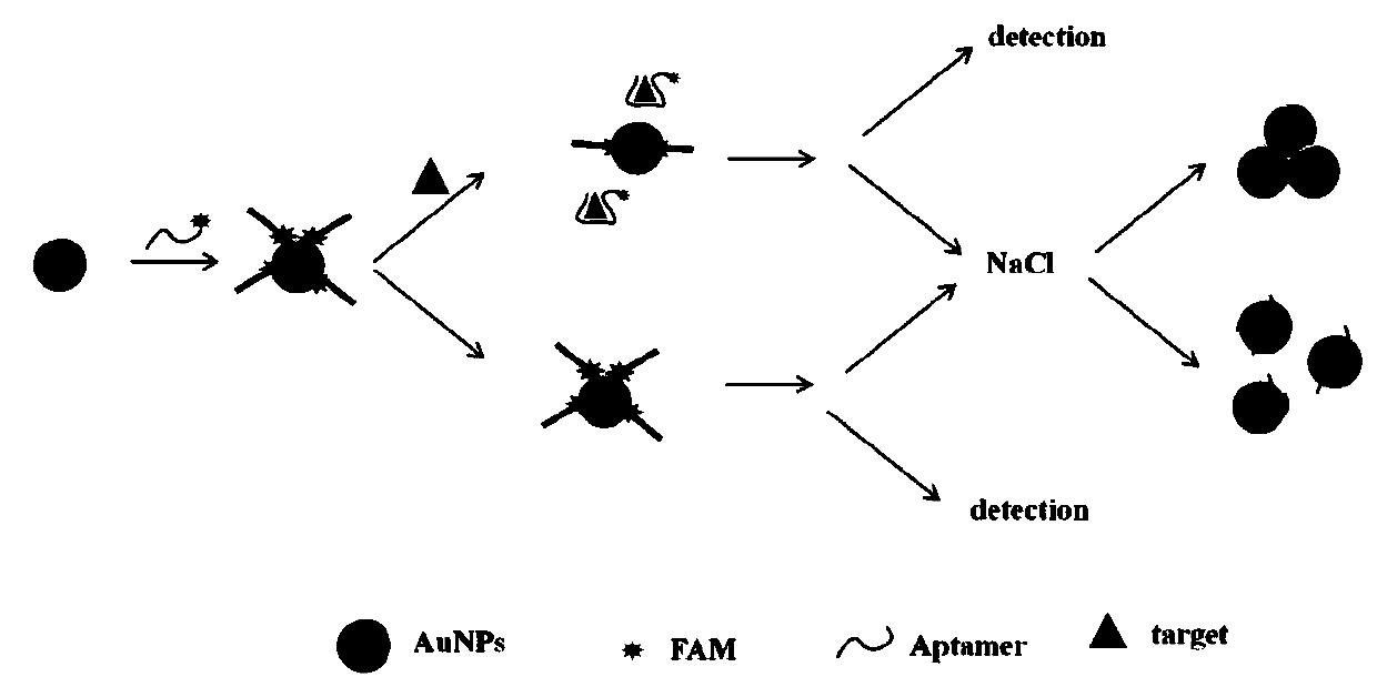 Aptamer and kit for detecting enrofloxacin and ciprofloxacin and application thereof