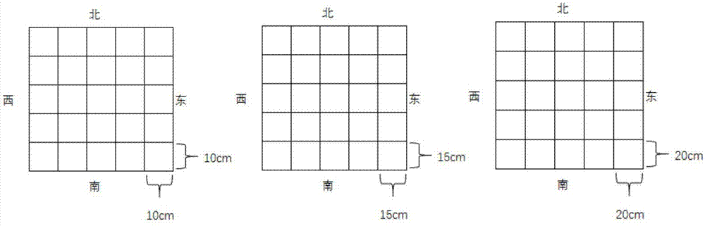 Square seeding method for preventing and removing weeds in alfalfa field