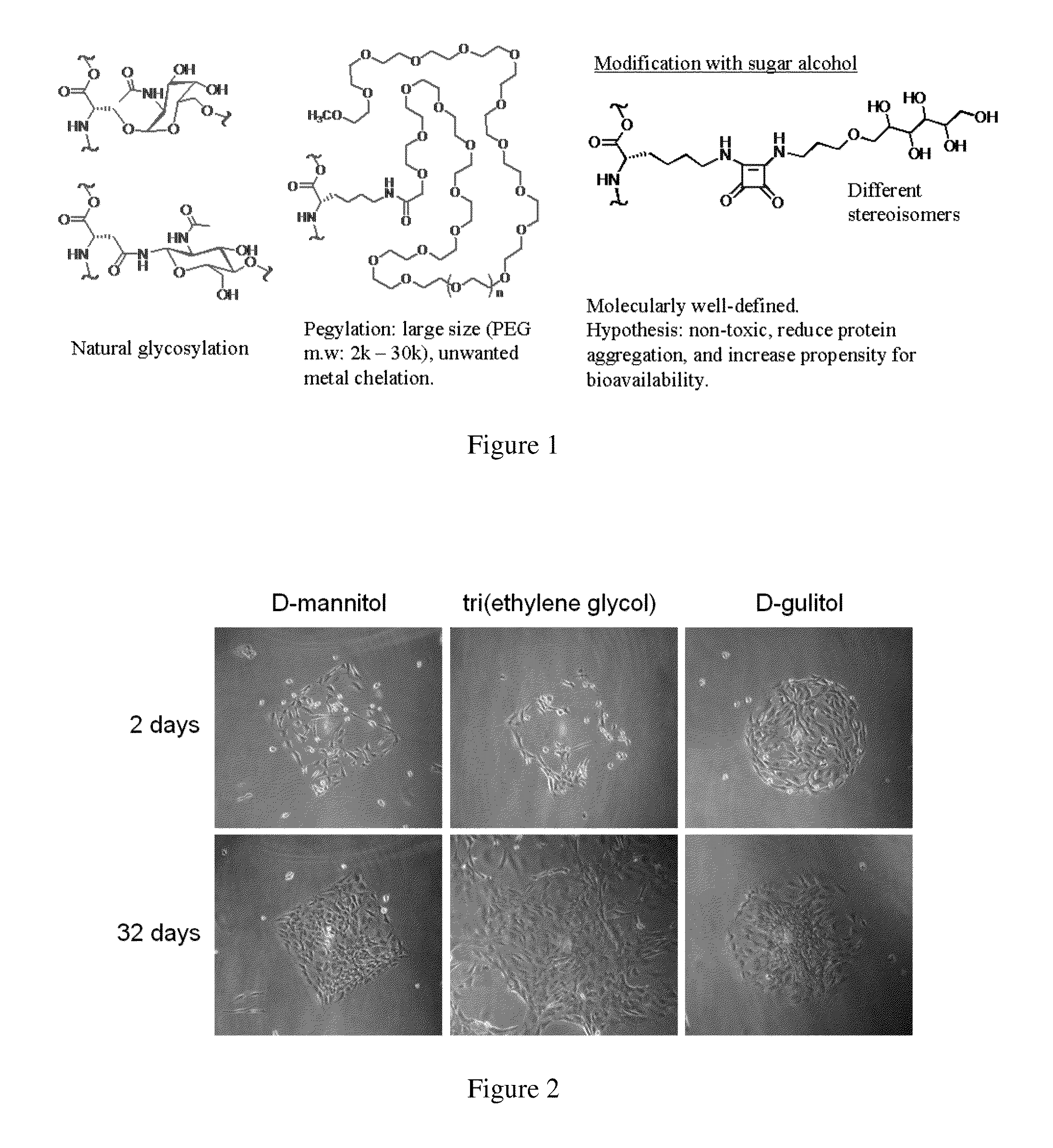 Method of covalently modifying proteins with organic molecules to prevent aggregation