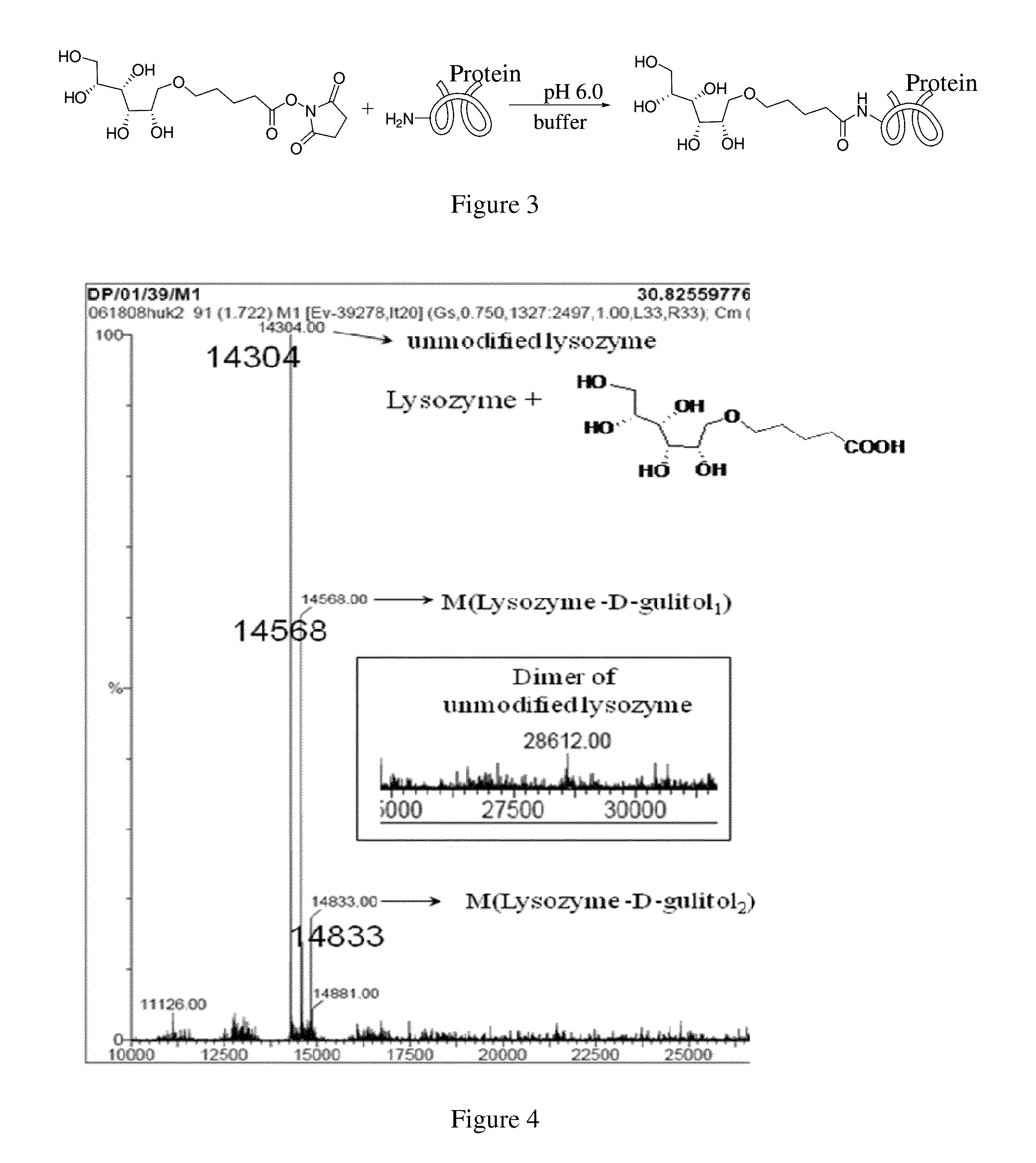 Method of covalently modifying proteins with organic molecules to prevent aggregation