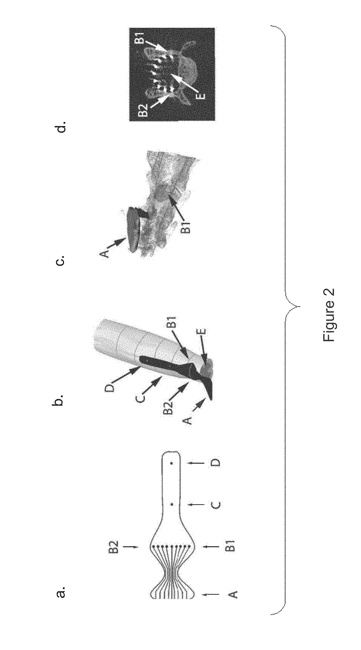System for selective spatiotemporal stimulation of the spinal cord