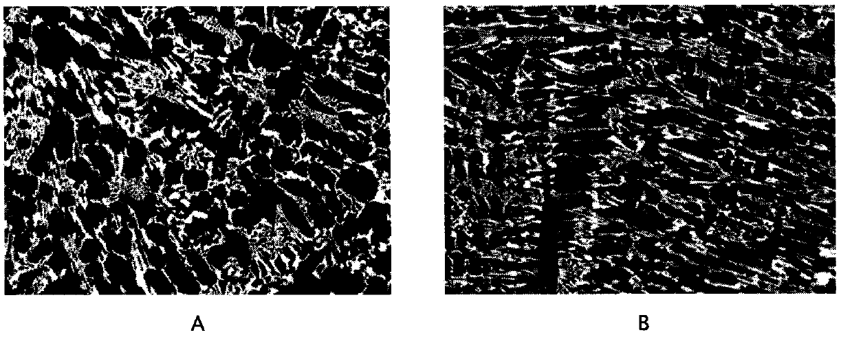 Amorphous inoculant for high chromium cast iron and its preparation method and use method