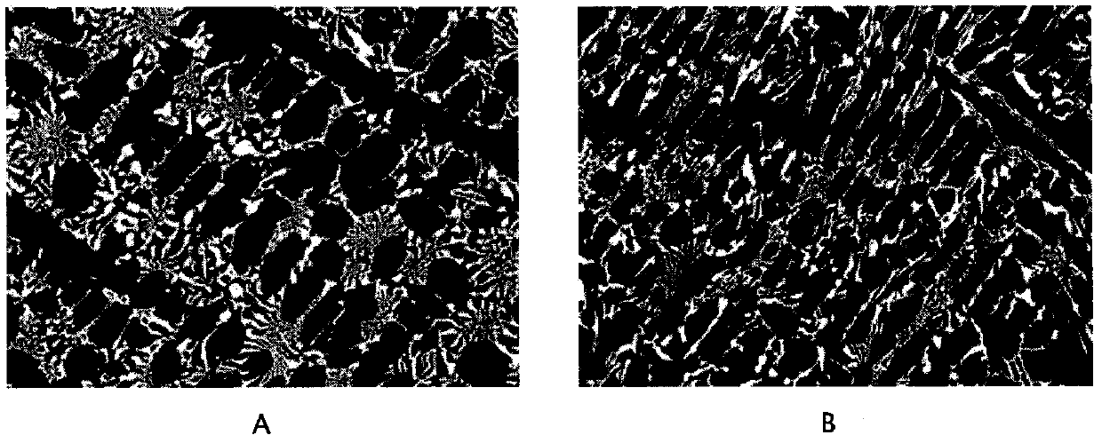 Amorphous inoculant for high chromium cast iron and its preparation method and use method