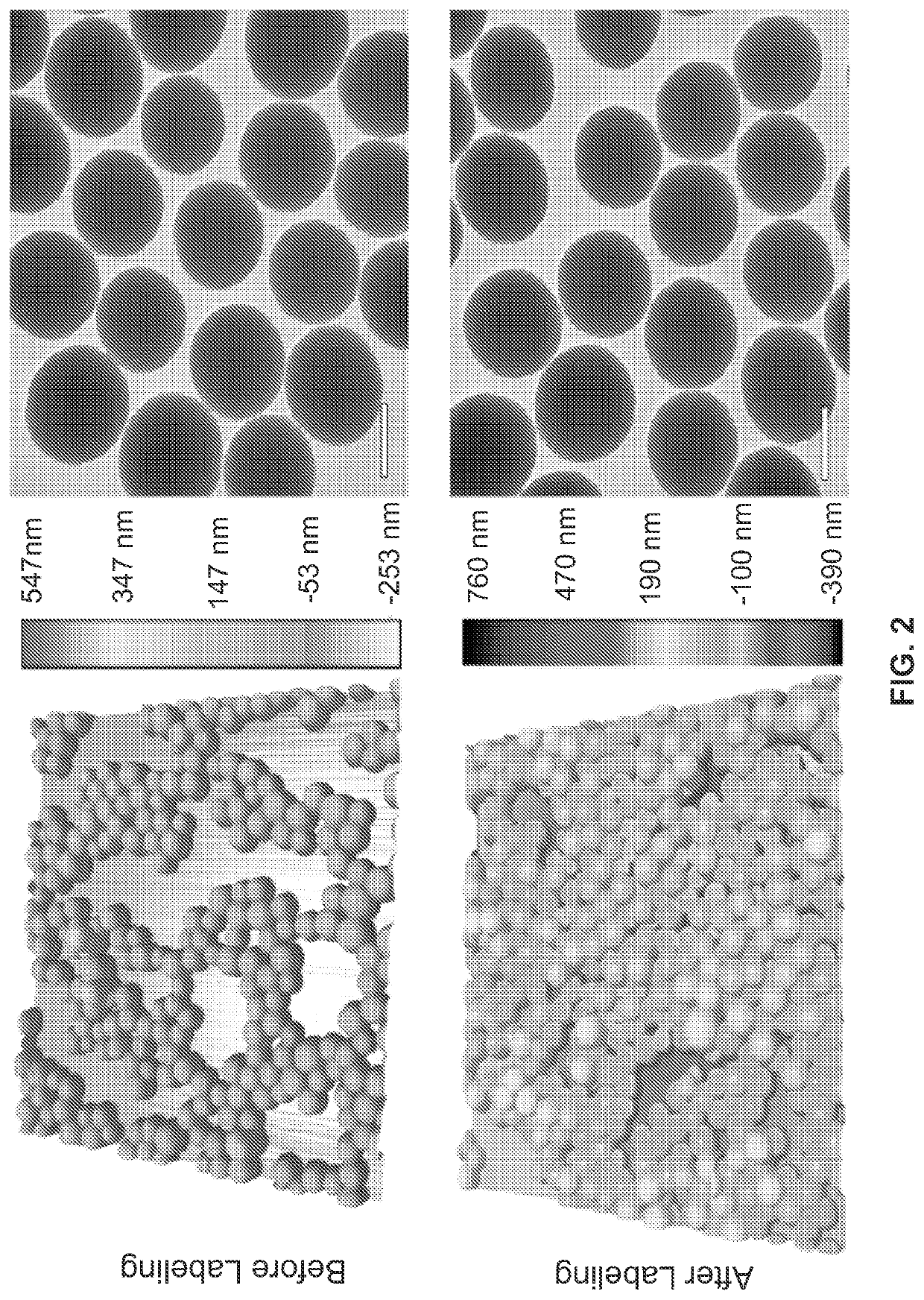 Metal(loid) chalcogen nanoparticles as universal binders for medical isotopes