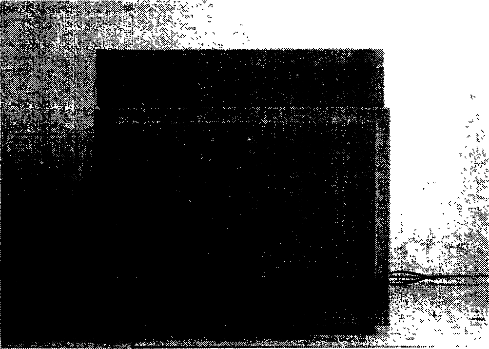 Micro flew controlling chip for DNA molecula computer