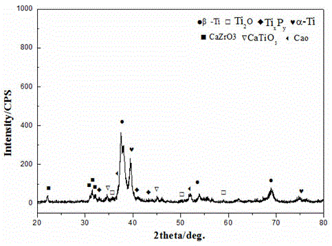 Titanium-niobium-zirconium-based calcium pyrophosphate biological composite material preparation method