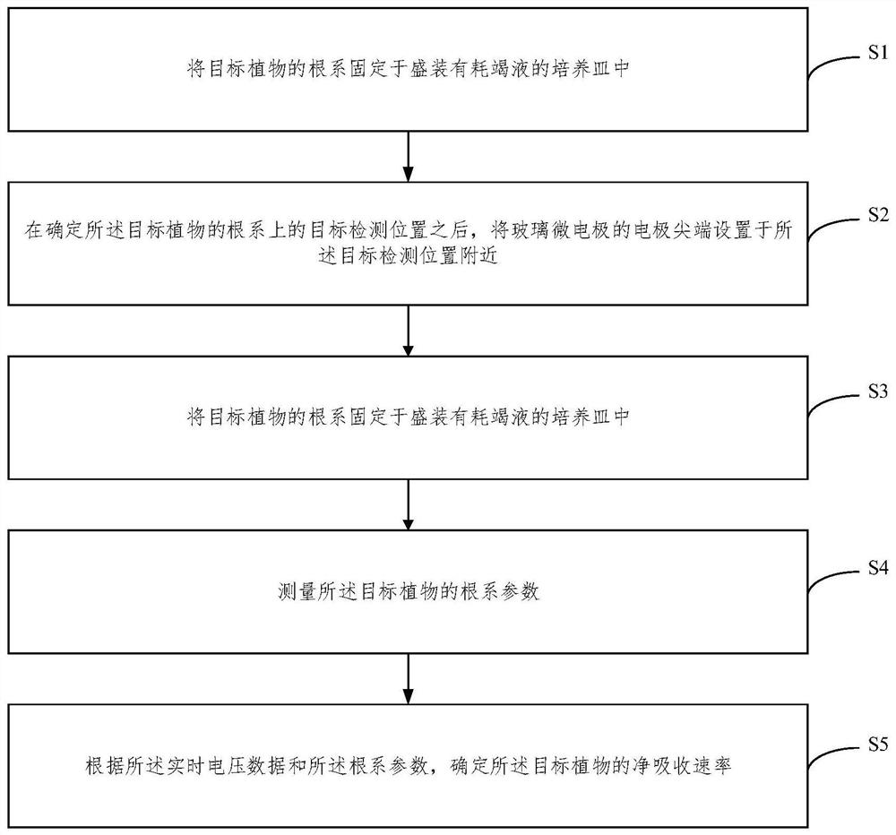 Ion flow velocity detection method and system based on ion absorption kinetics