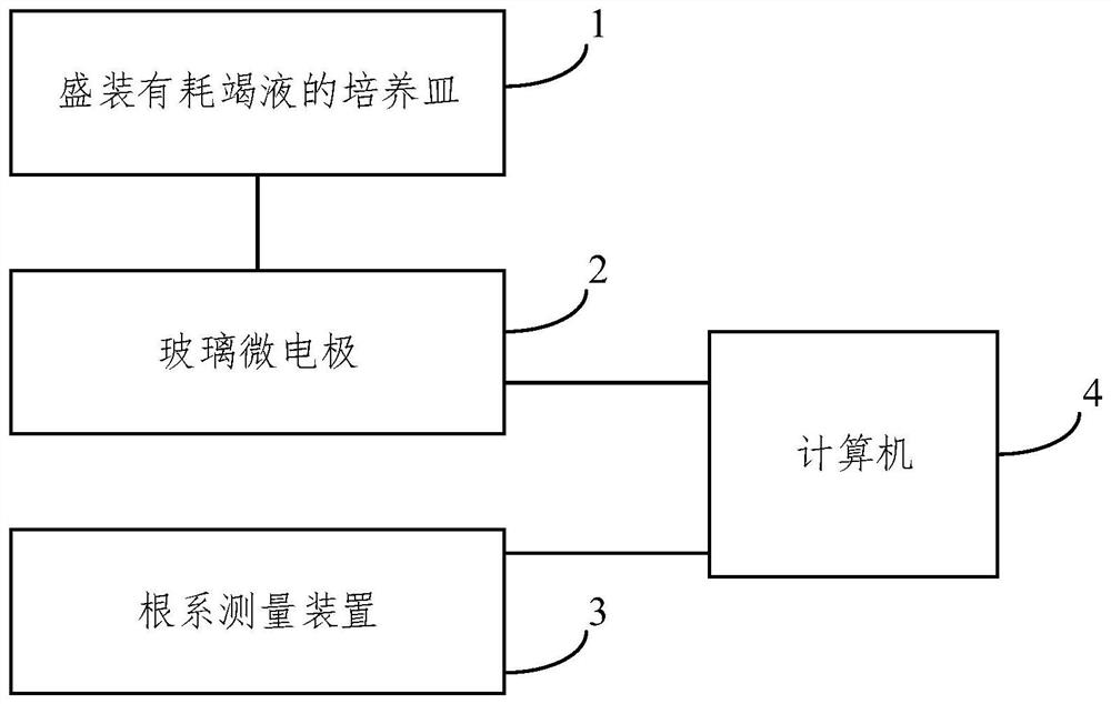 Ion flow velocity detection method and system based on ion absorption kinetics