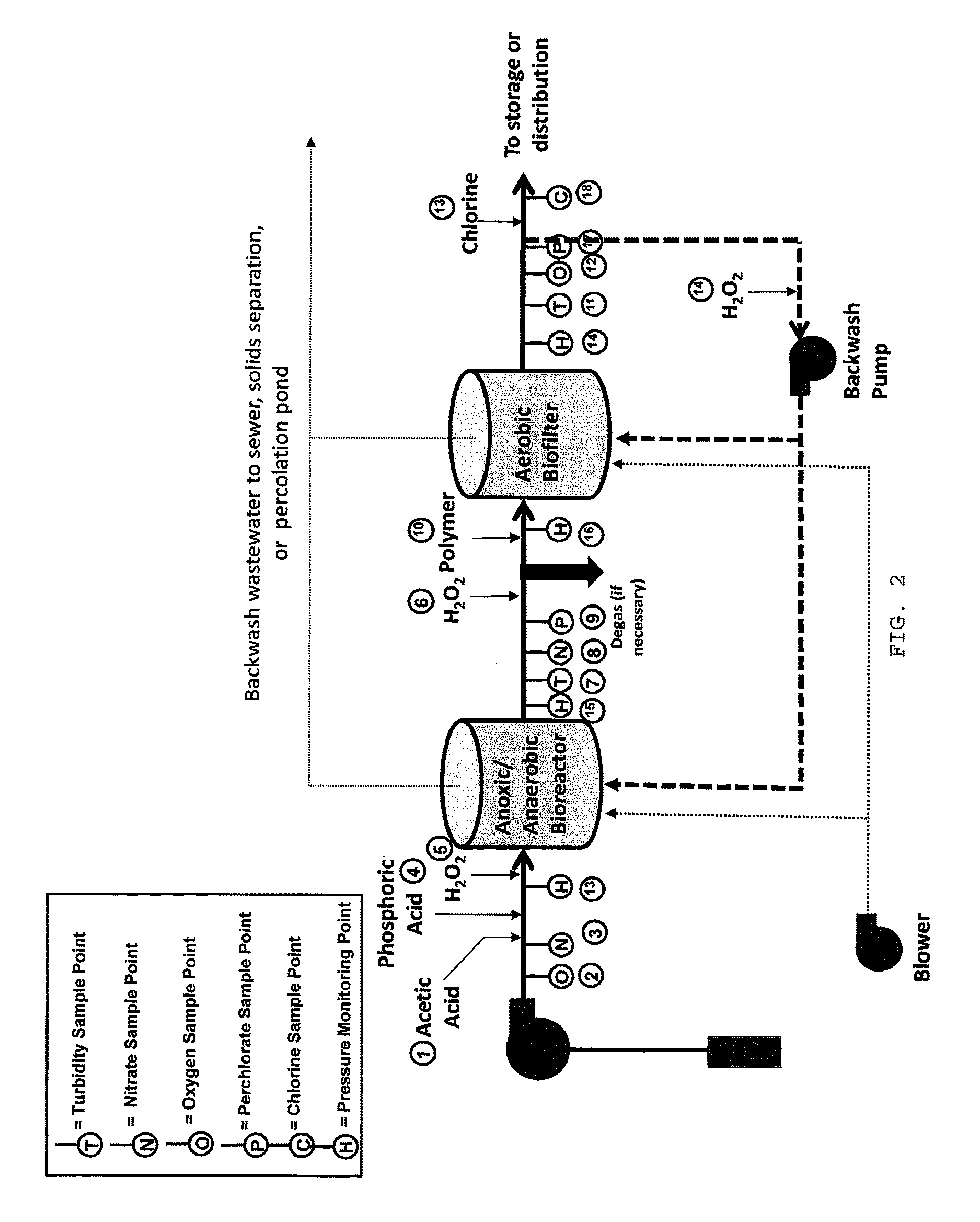 Biological two-stage contaminated water treatment system and process