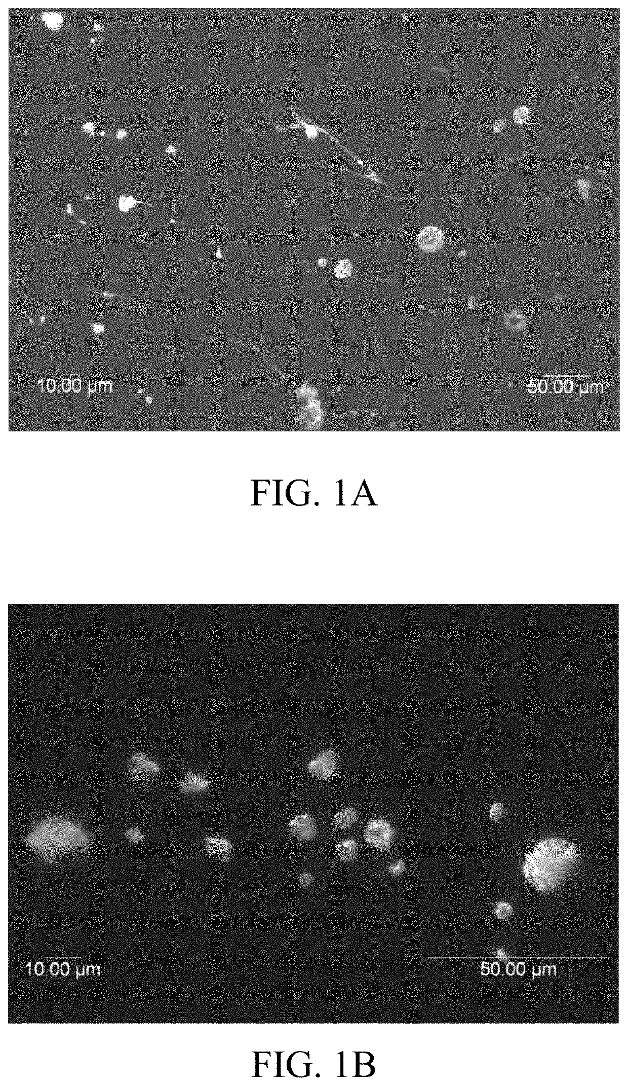 Method to improve characteristics of spray dried powders and granulated materials, and the products thereby produced