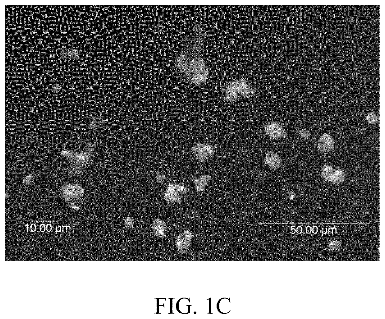 Method to improve characteristics of spray dried powders and granulated materials, and the products thereby produced