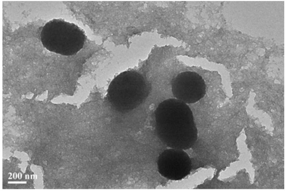 Modified titanium dioxide particles, preparation method thereof and skin care product