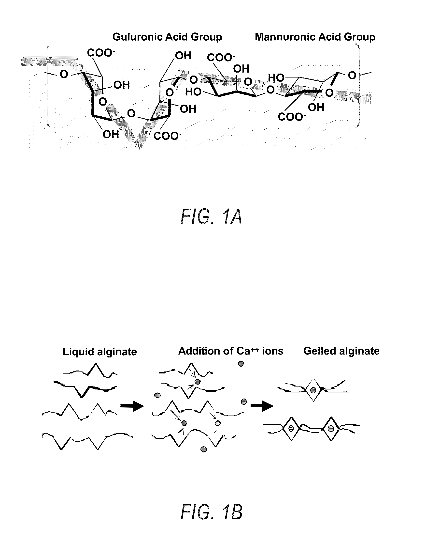Compositions and methods for use of alginate dural sealants