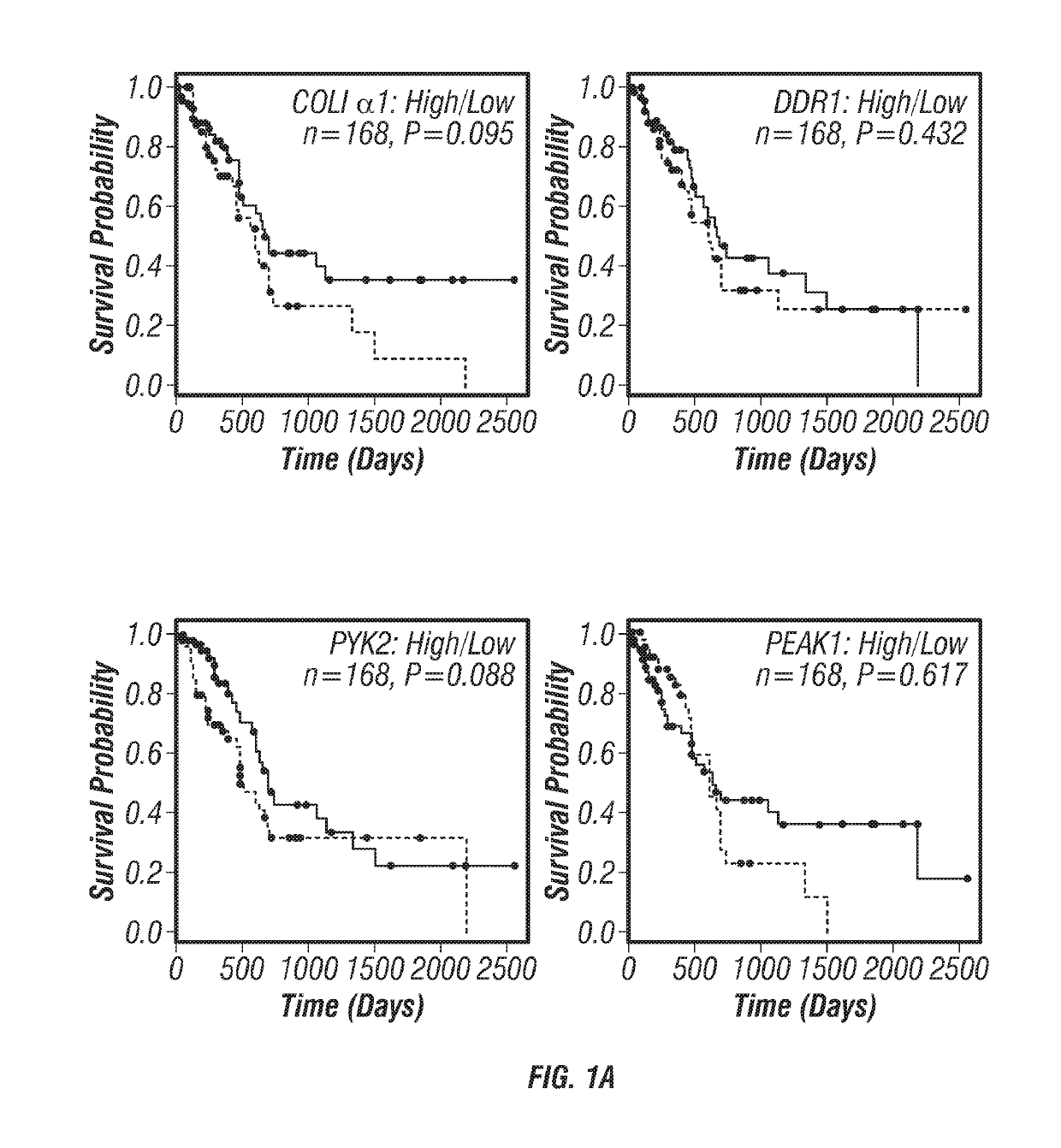 Small-molecule inhibitors targeting discoidin domain receptor 1 and uses thereof