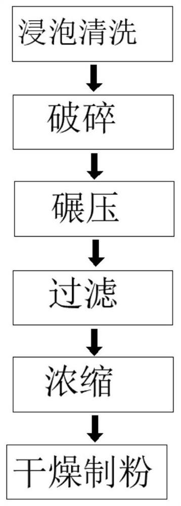 Natural plant pigment extraction process