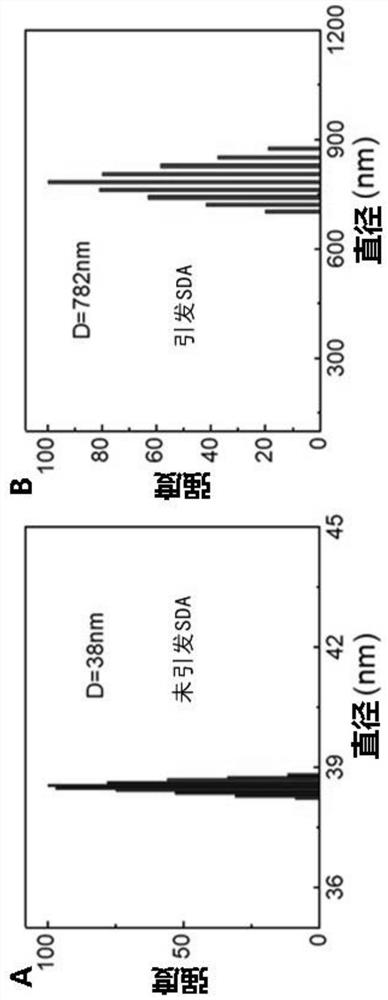 Aflatoxin M1 detection method and application thereof