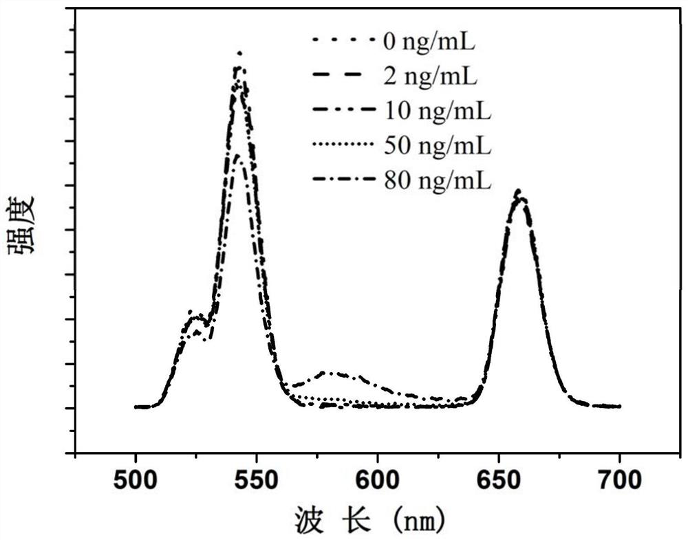 A solid-state up-conversion fluorescent probe and its preparation method and application