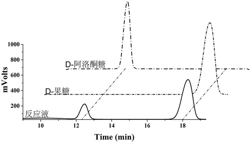 Mutant of epimerase and application of mutant