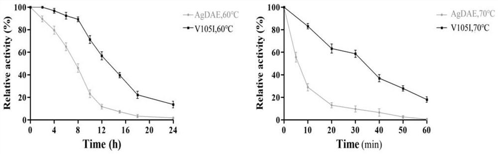 Mutant of epimerase and application of mutant