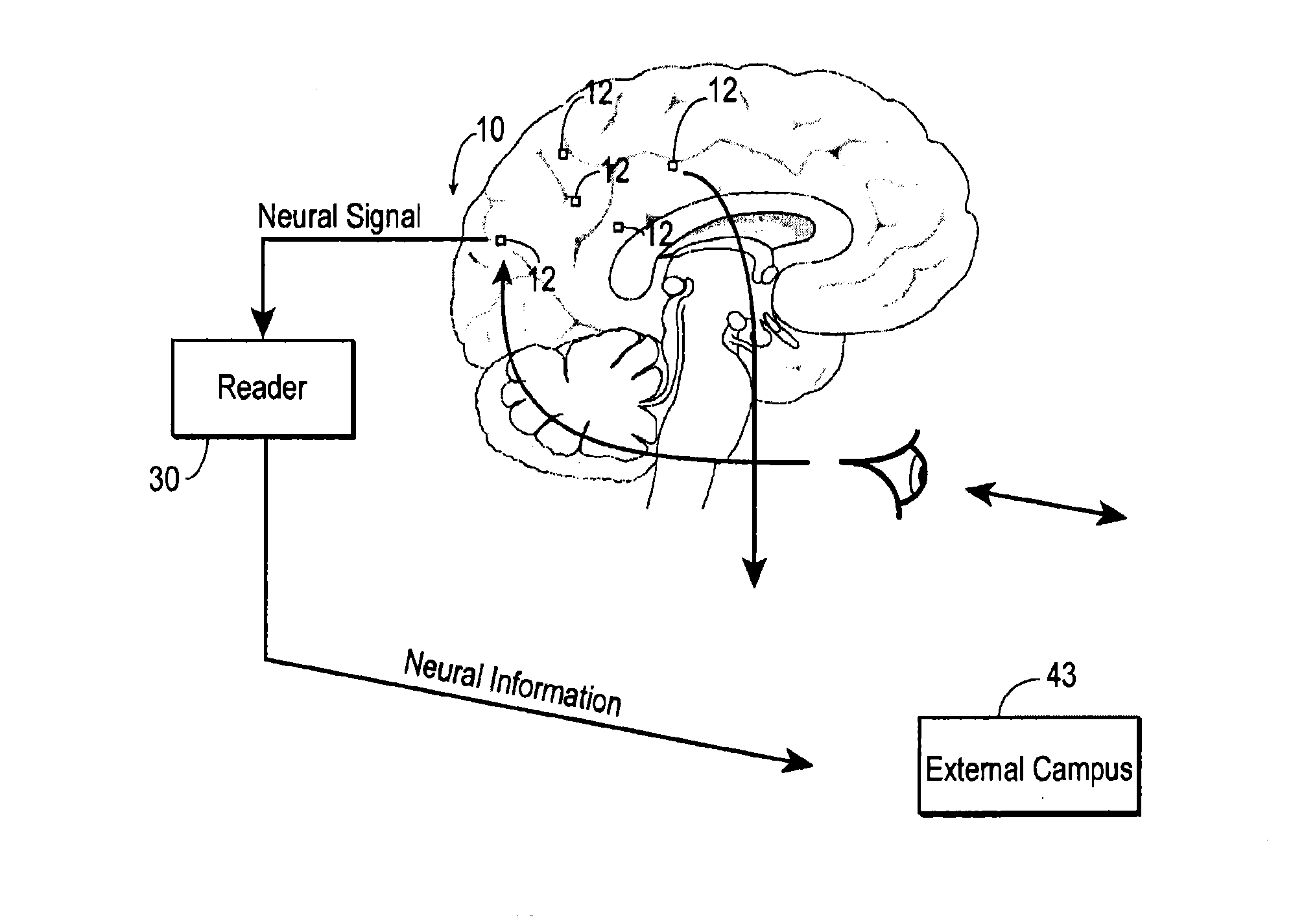 Brain Machine Interface Device