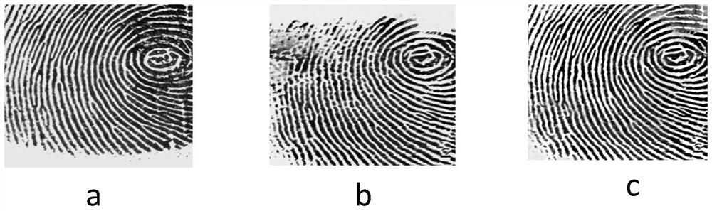 Multi-source fingerprint image fusion method based on convolution sparse representation