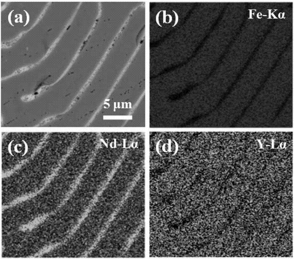 Y-containing rare-earth permanent magnet alloy stripe-casting flake