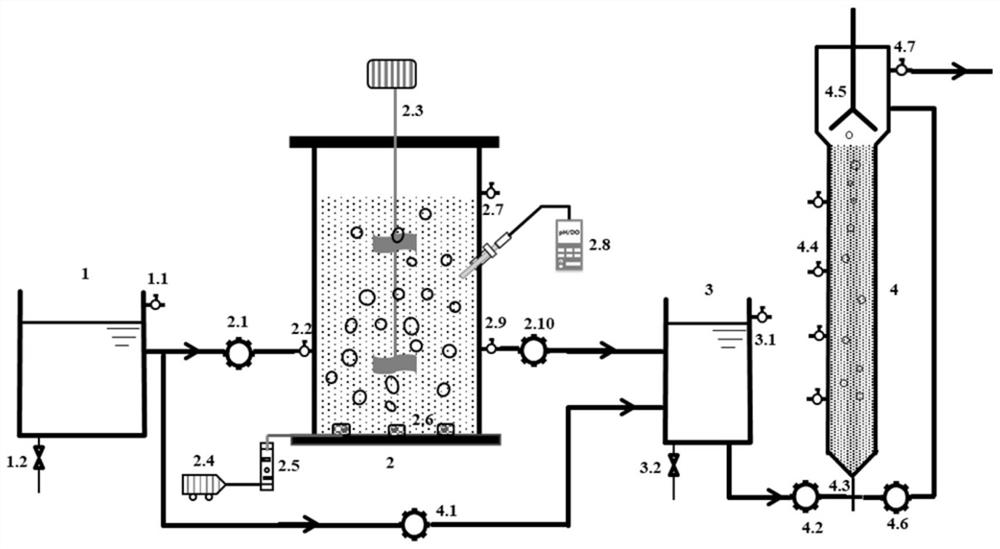 Device and method for treating mainstream low-carbon-nitrogen-ratio domestic sewage through two-stage whole-process ammoxidation-short-range denitrification anaerobic ammoxidation