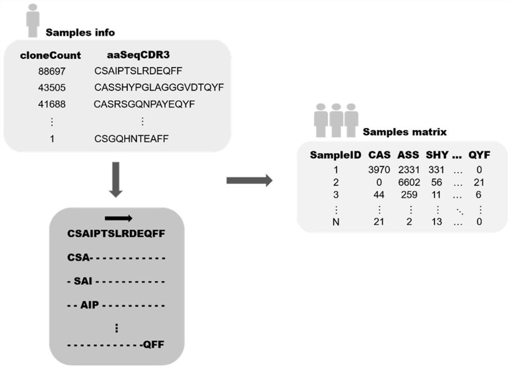 T cell receptor sequence motif combination recognition and detection method, storage medium and equipment